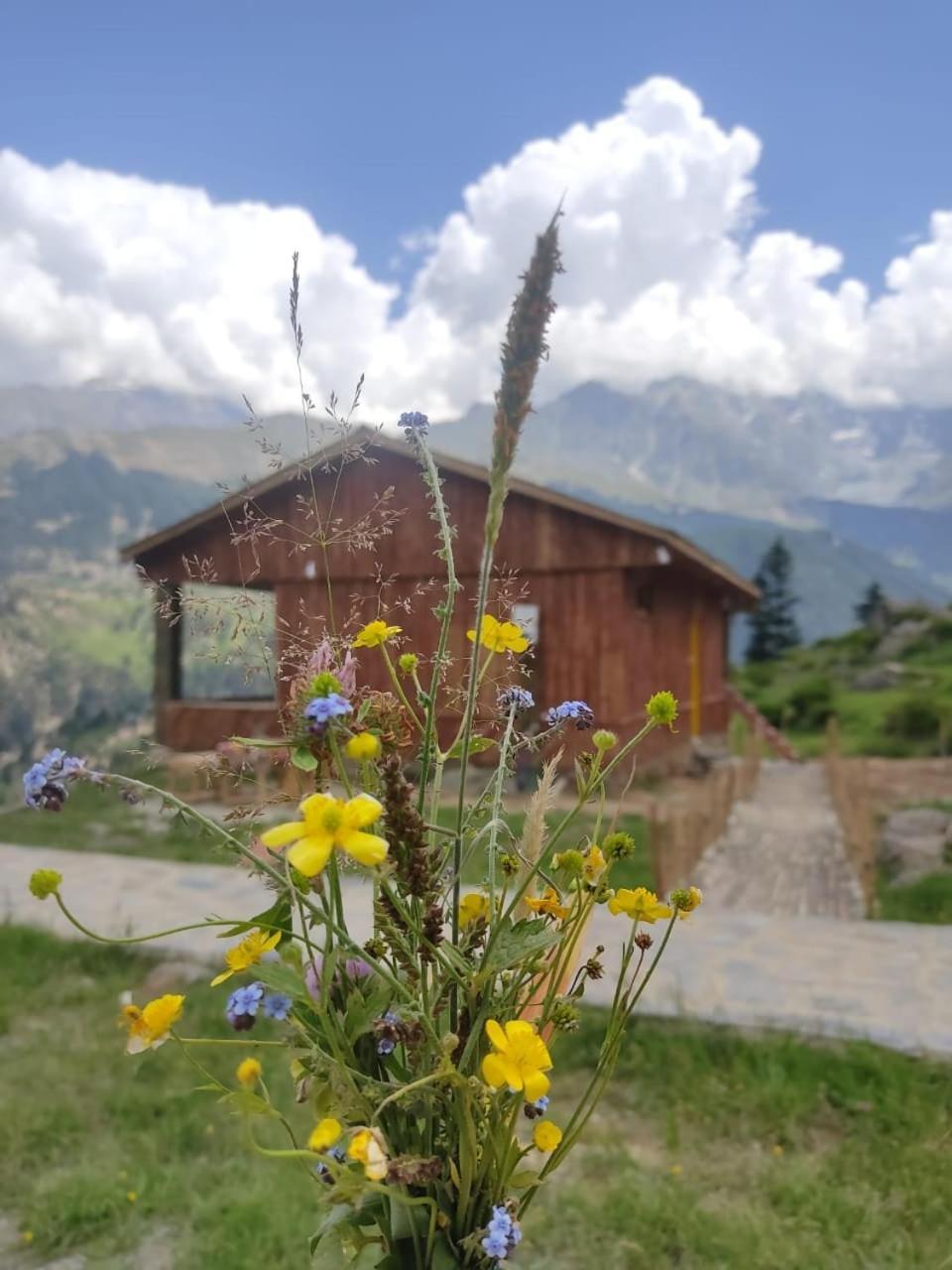 Khana Badosh Resort Kalam エクステリア 写真